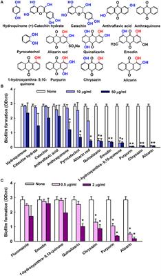 Alizarin and Chrysazin Inhibit Biofilm and Hyphal Formation by Candida albicans